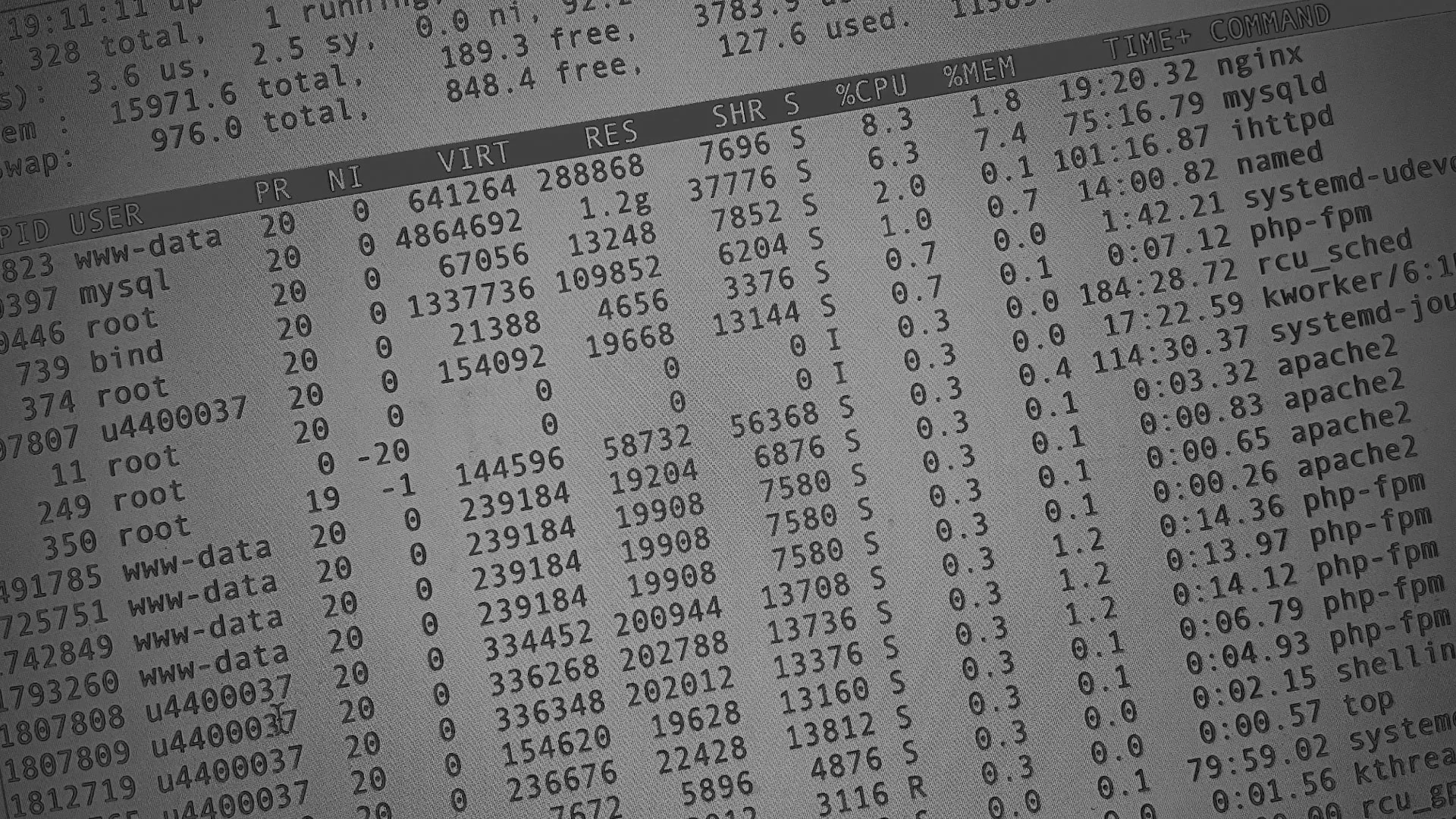 Настройка сервера в Болхове