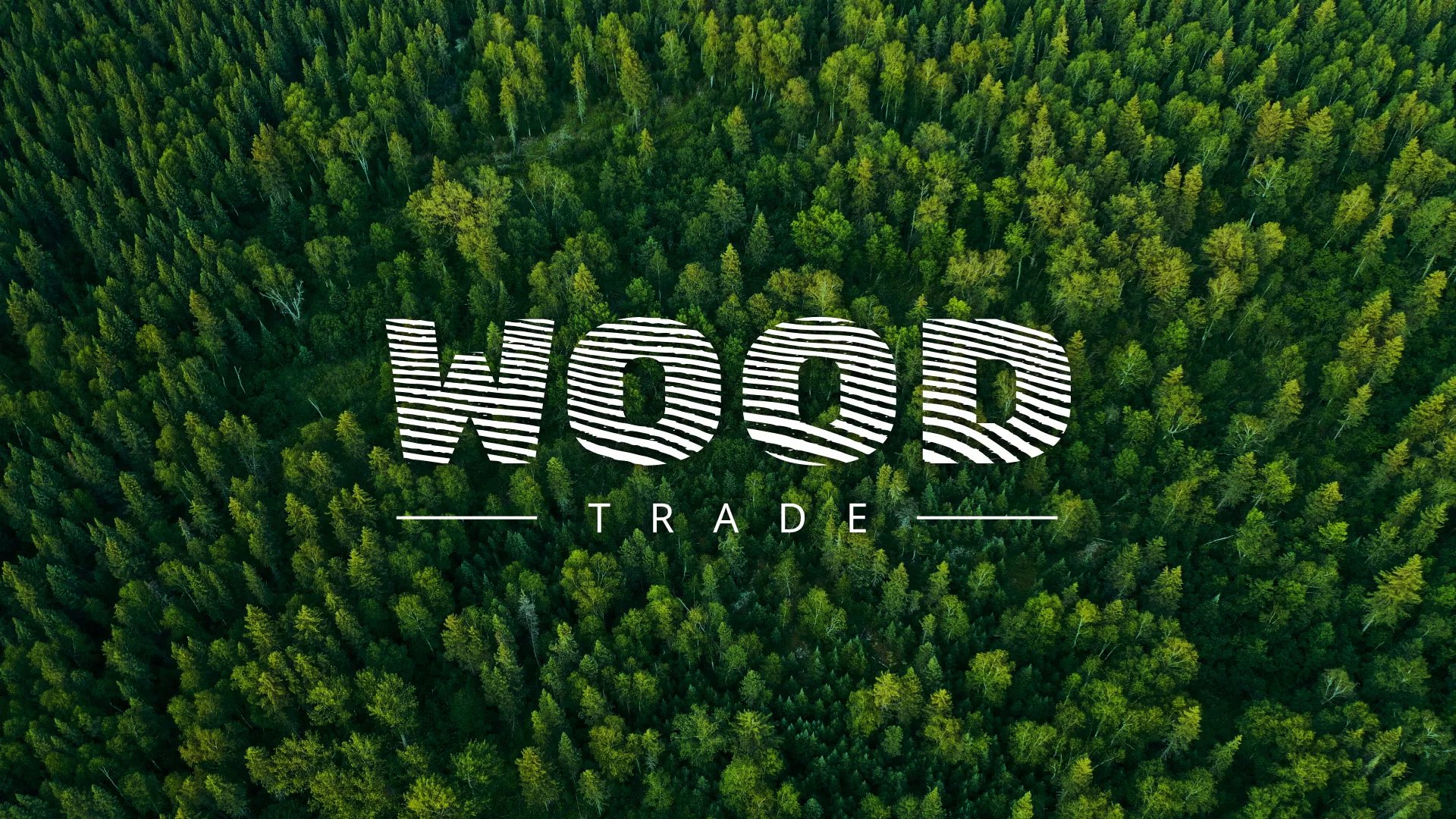 Разработка интернет-магазина компании «Wood Trade» в Болхове