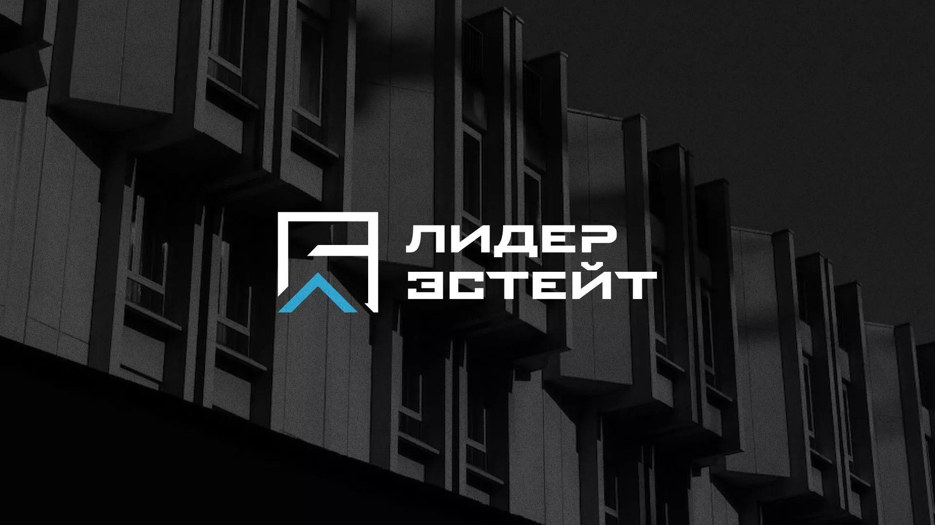 Разработка логотипа агентства недвижимости «Лидер Эстейт» в Болхове