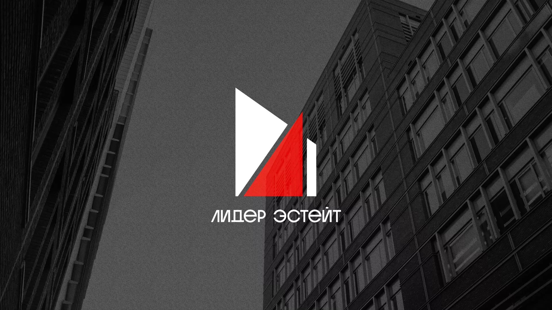 Сделали логотип для агентства недвижимости «Лидер Эстейт» в Болхове